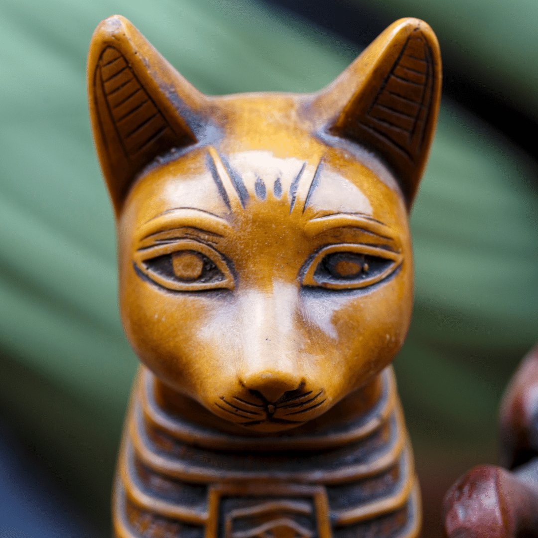 Le chat, une créature divine protecteur des pyramides et des pharaons.