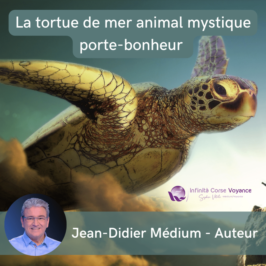 Tortue de mer mystique et porte-bonheur| Jean-Didier & Sophie Vitali