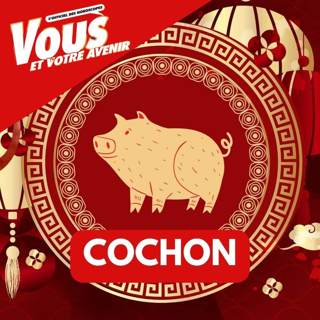 Astrologie chinoise 2024 : Le Cochon et ses dix combinaisons (tiges célestes et éléments)