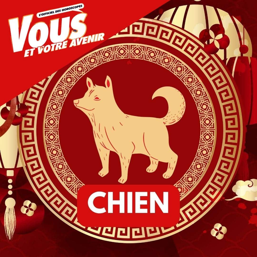 Astrologie chinoise 2024 : Le Chien et ses dix combinaisons (tiges célestes et éléments)