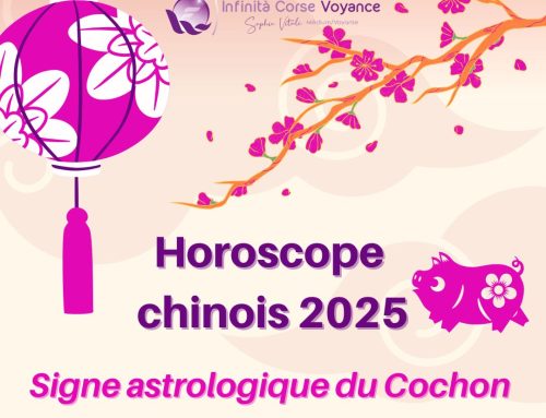 Horoscope chinois 2025 gratuit du Cochon – Prévisions complètes et détaillées