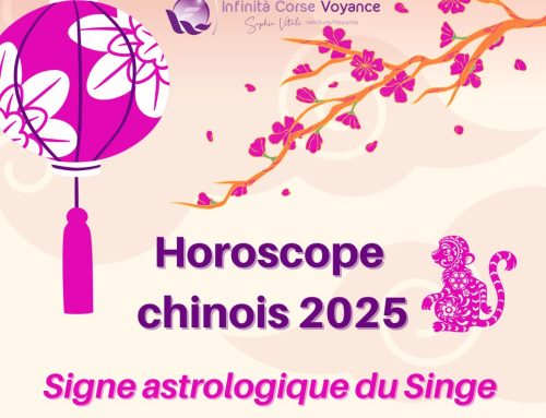 Horoscope chinois 2025 gratuit du Singe – Prévisions complètes et détaillées