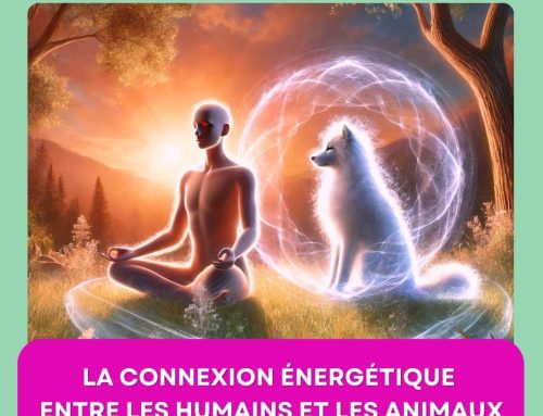 La connexion énergétique entre les humains et les animaux