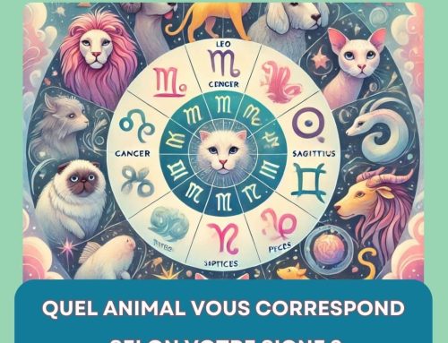 Astrologie et animaux de compagnie : quel compagnon vous correspond vraiment selon votre signe ?