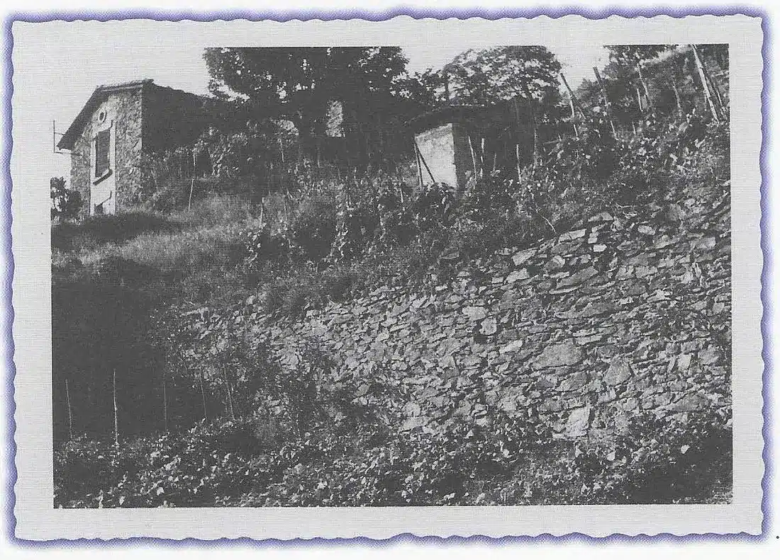 Photographie ancienne montrant la maison de la famille Rozier à Seyssuel, en Isère. Ce lieu est au cœur de l’affaire de la maison hantée documentée dans les années 1930, ayant fait l’objet d’une enquête officielle menée par la gendarmerie.